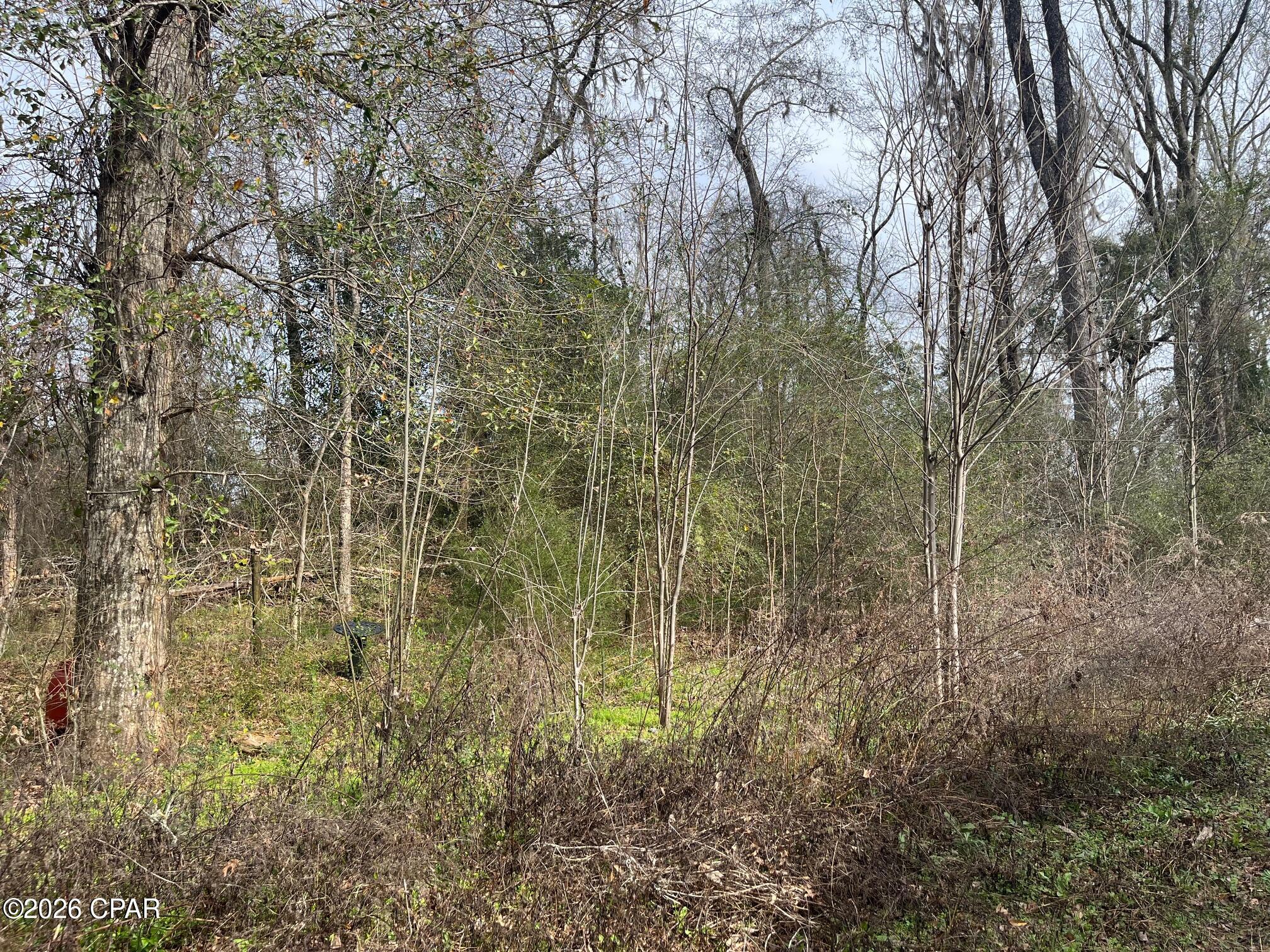 Image 28 For 4854 Highway 231