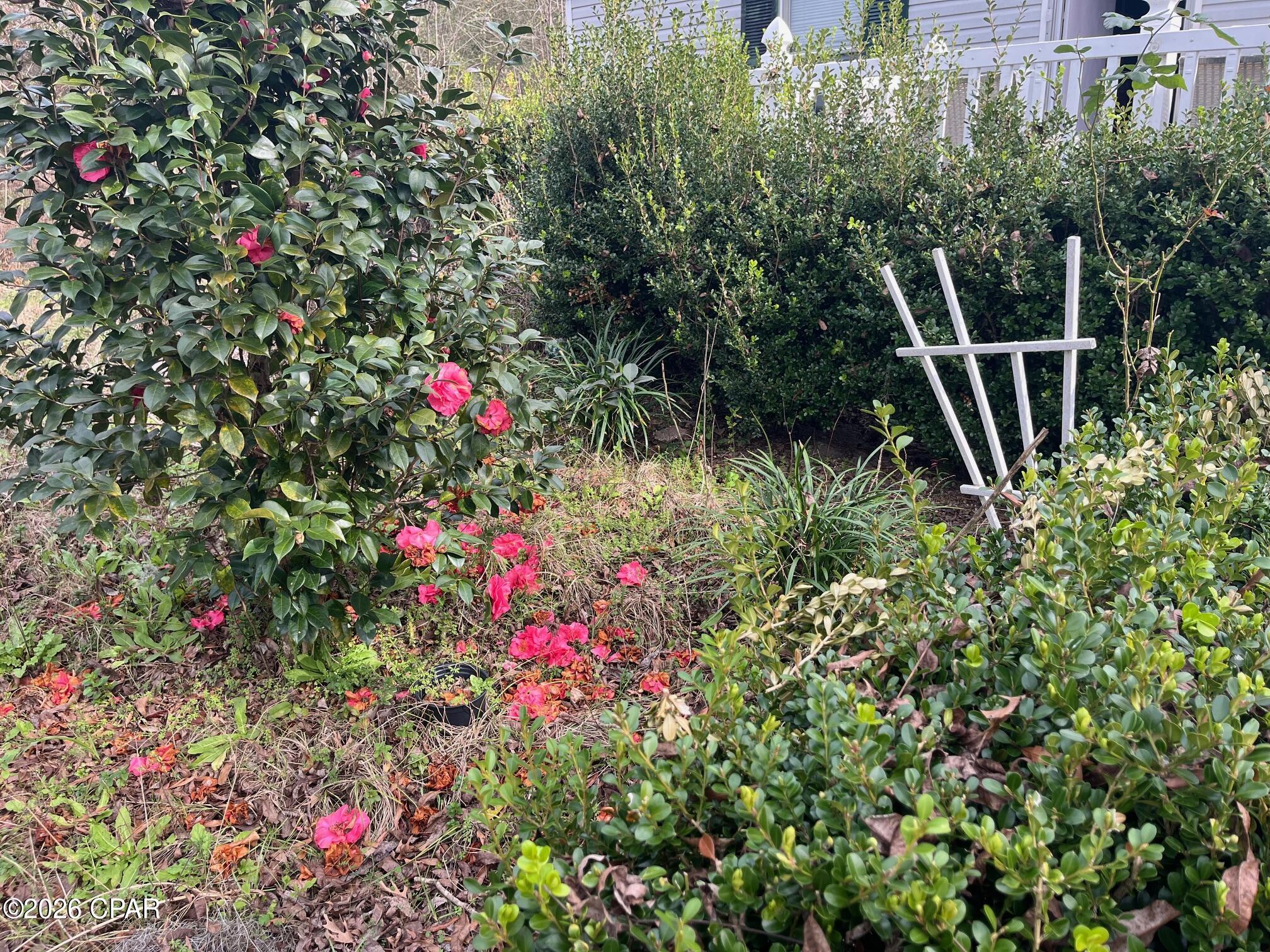 Image 30 For 4854 Highway 231