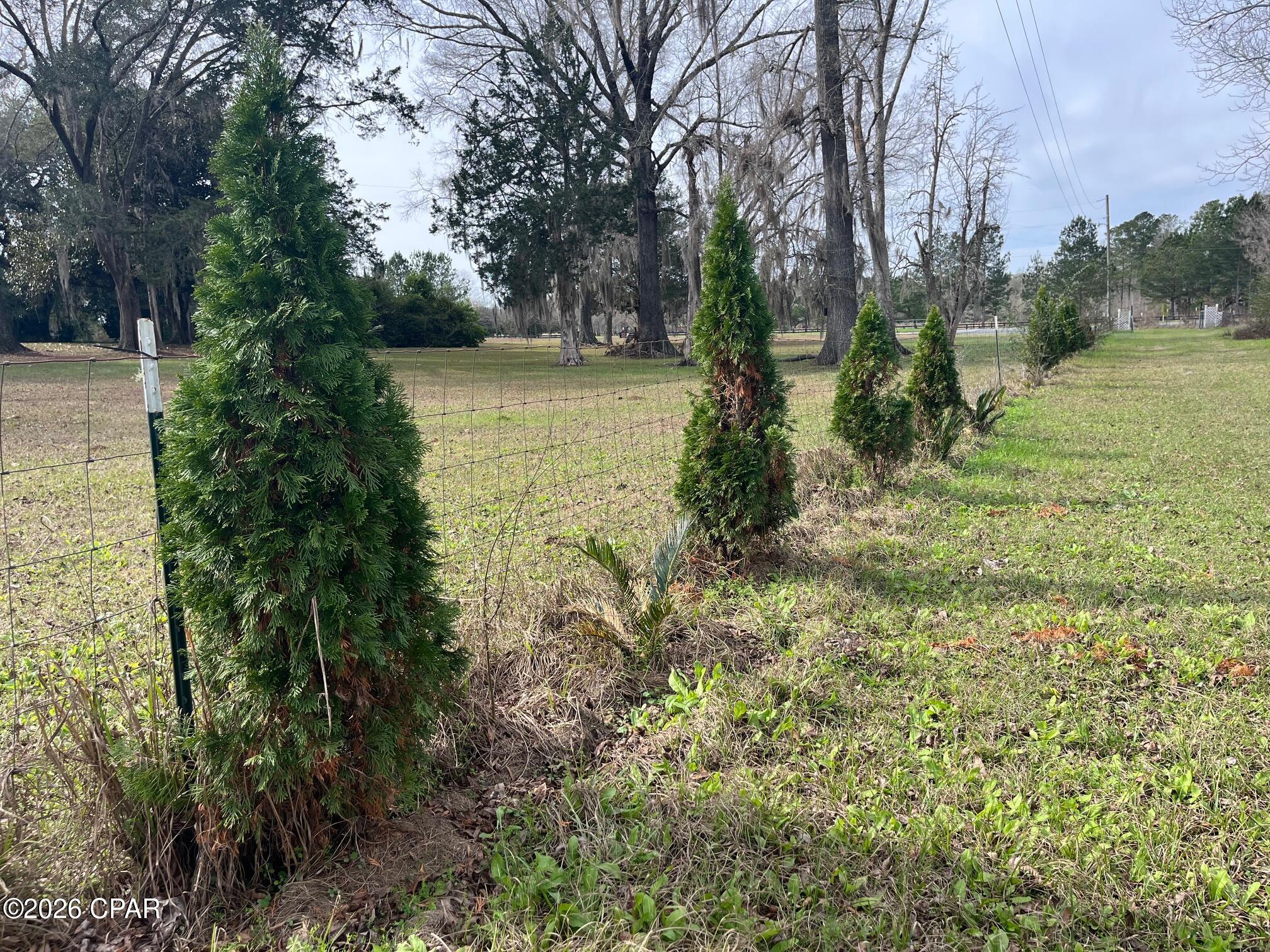 Image 41 For 4854 Highway 231