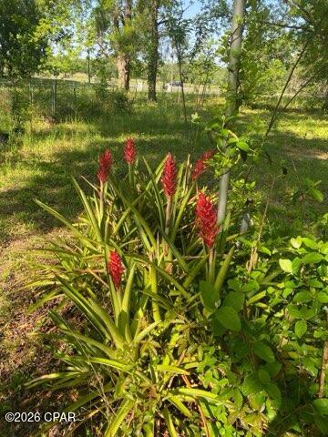 Image 53 For 4854 Highway 231