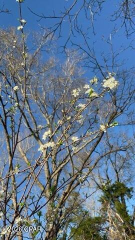 Image 54 For 4854 Highway 231