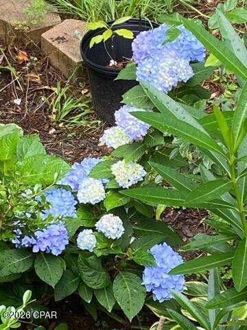 Image 55 For 4854 Highway 231