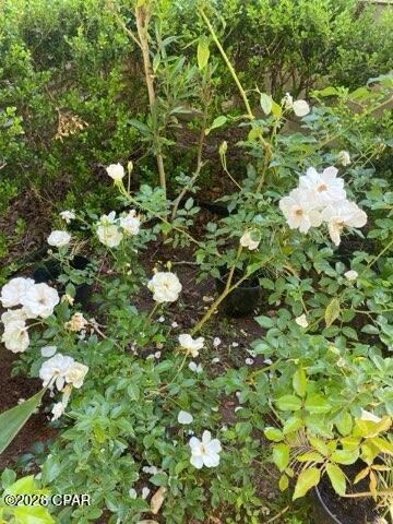 Image 56 For 4854 Highway 231