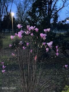 Image 58 For 4854 Highway 231