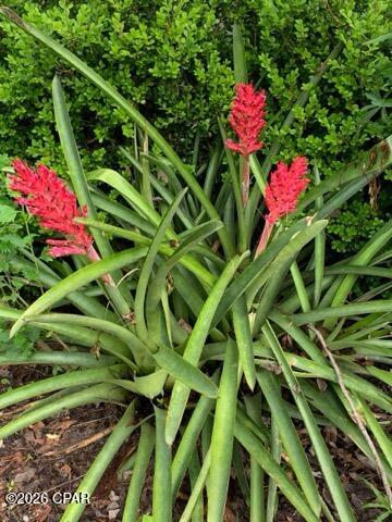 Image 60 For 4854 Highway 231