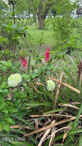 Image 62 For 4854 Highway 231