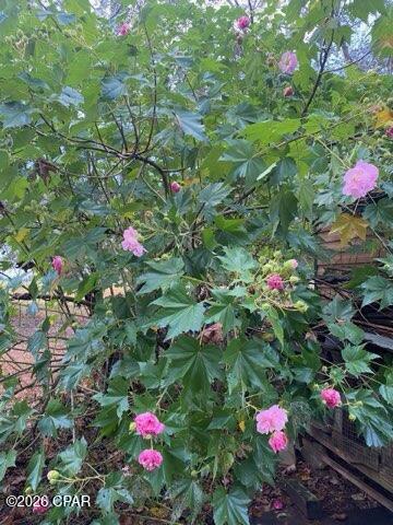 Image 63 For 4854 Highway 231