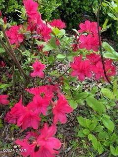 Image 64 For 4854 Highway 231