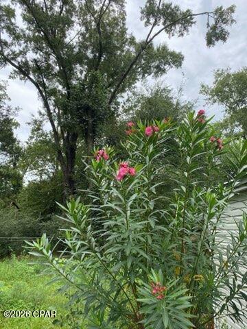 Image 68 For 4854 Highway 231