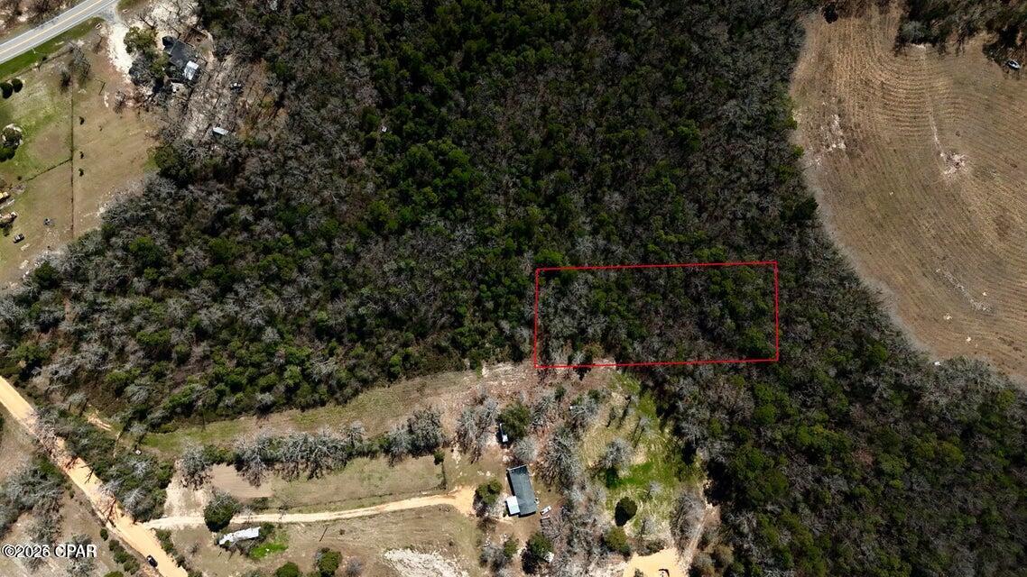 0 Petty Road, Westville, FL 32464