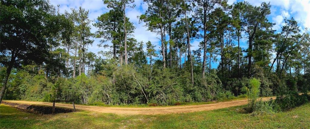 Homes for sale in Franklinton, LA | 40253 Nicole Elizabeth Dr, Franklinton, LA 70438 | MLS# 2538618