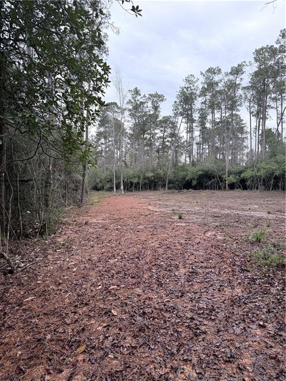 Homes for sale in Franklinton, LA | 40253 Nicole Elizabeth Dr, Franklinton, LA 70438 | MLS# 2538618