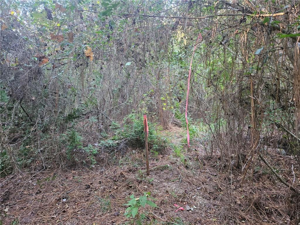 Homes for sale in Franklinton, LA | 40253 Nicole Elizabeth Dr, Franklinton, LA 70438 | MLS# 2538618