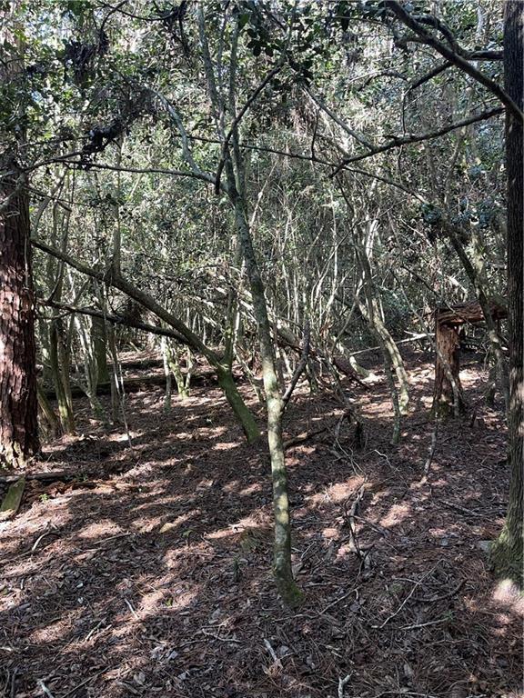 Homes for sale in Franklinton, LA | 40253 Nicole Elizabeth Dr, Franklinton, LA 70438 | MLS# 2538618