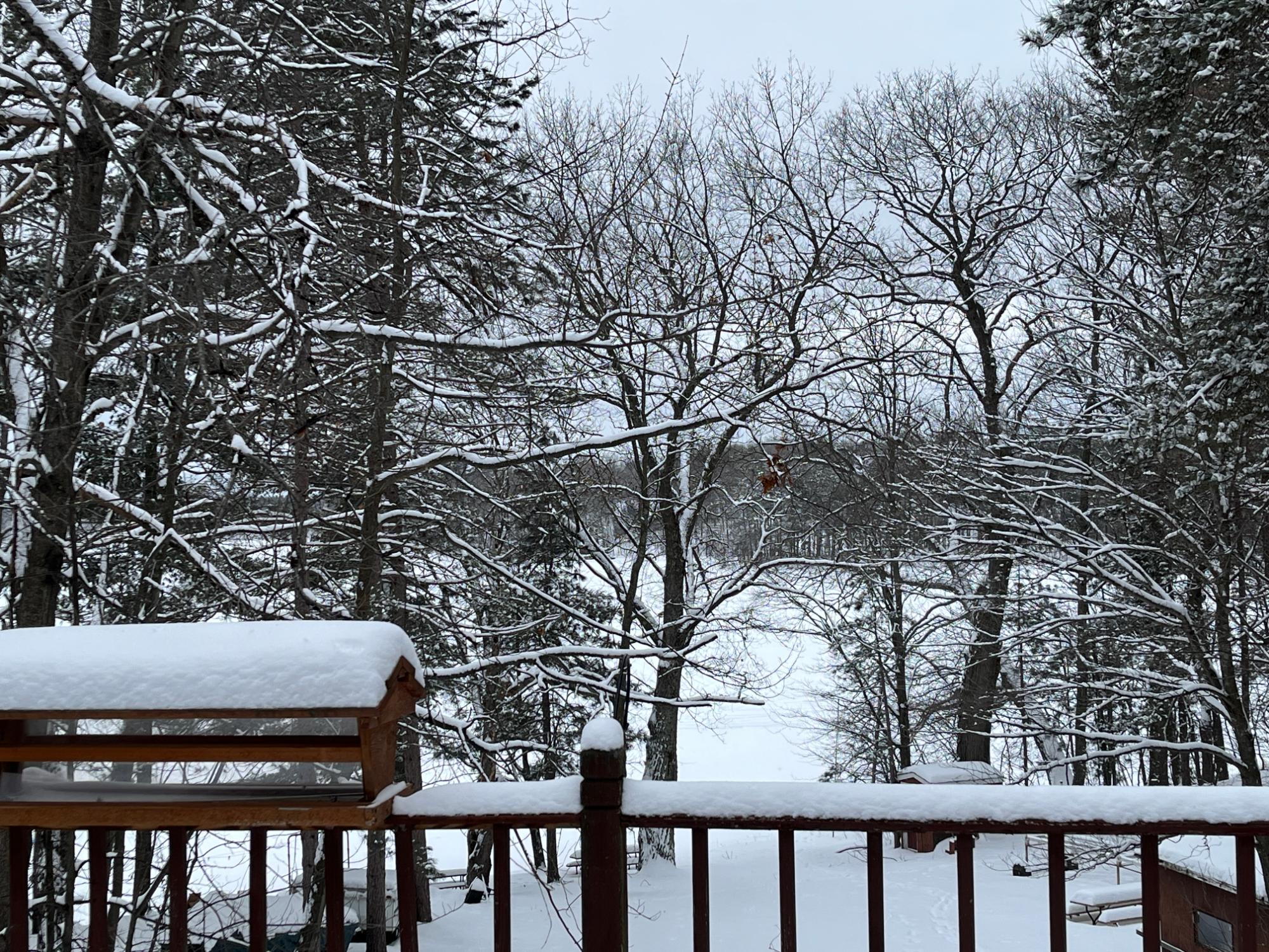 Squash Lake Property 7265 Bay Rd Photo 12