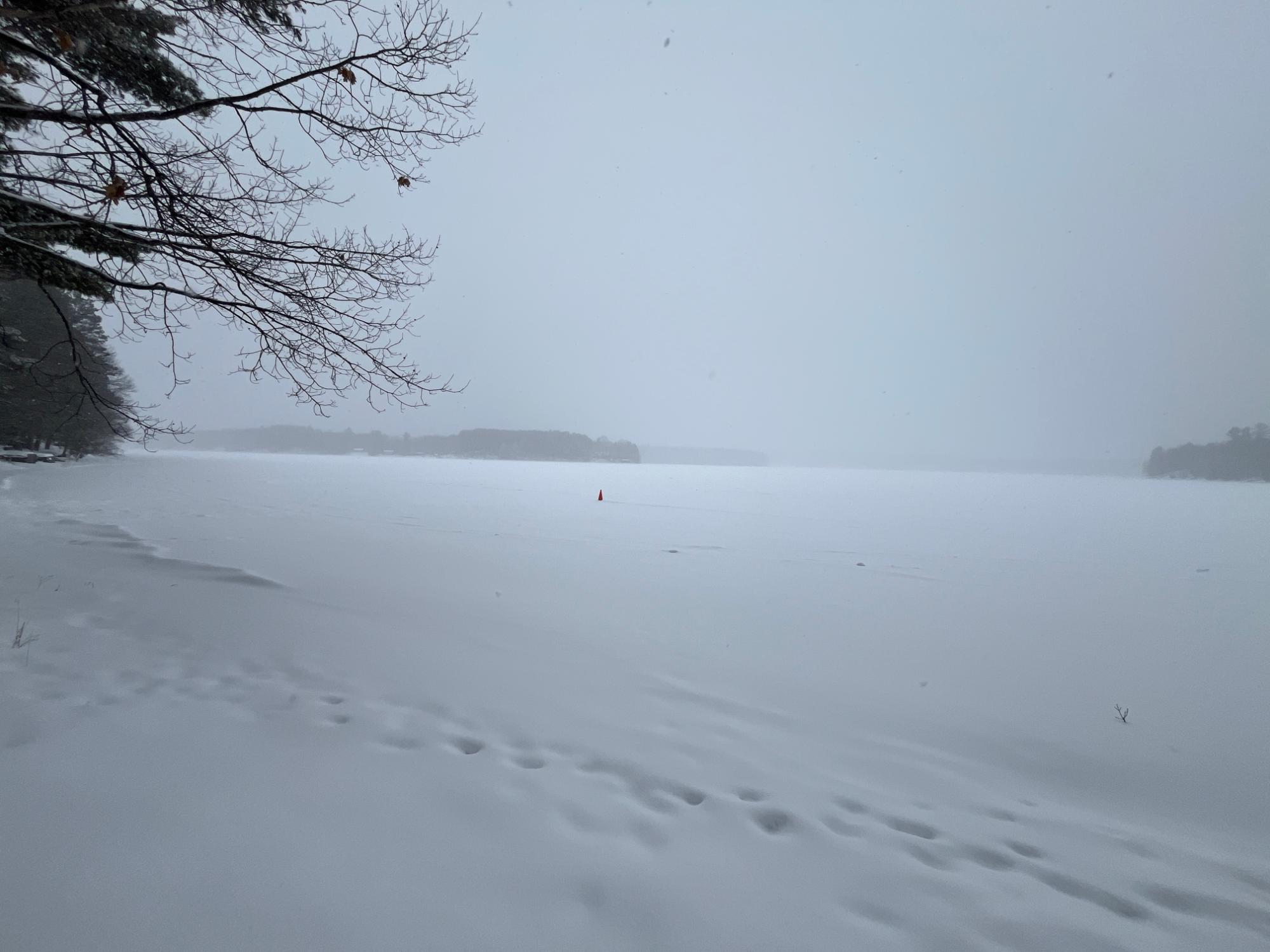 Squash Lake Property 7265 Bay Rd Photo 3