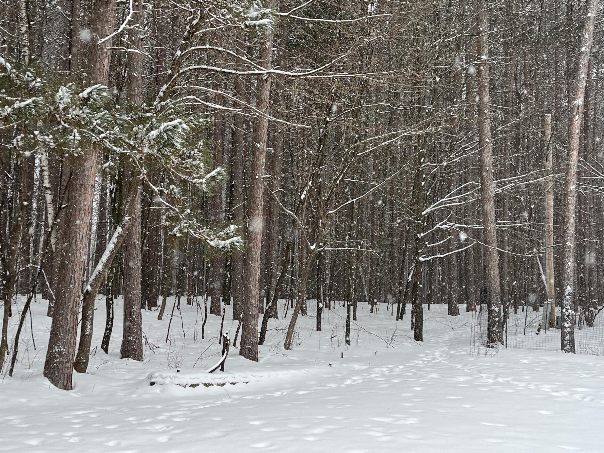 Squash Lake Property 7265 Bay Rd Photo 32
