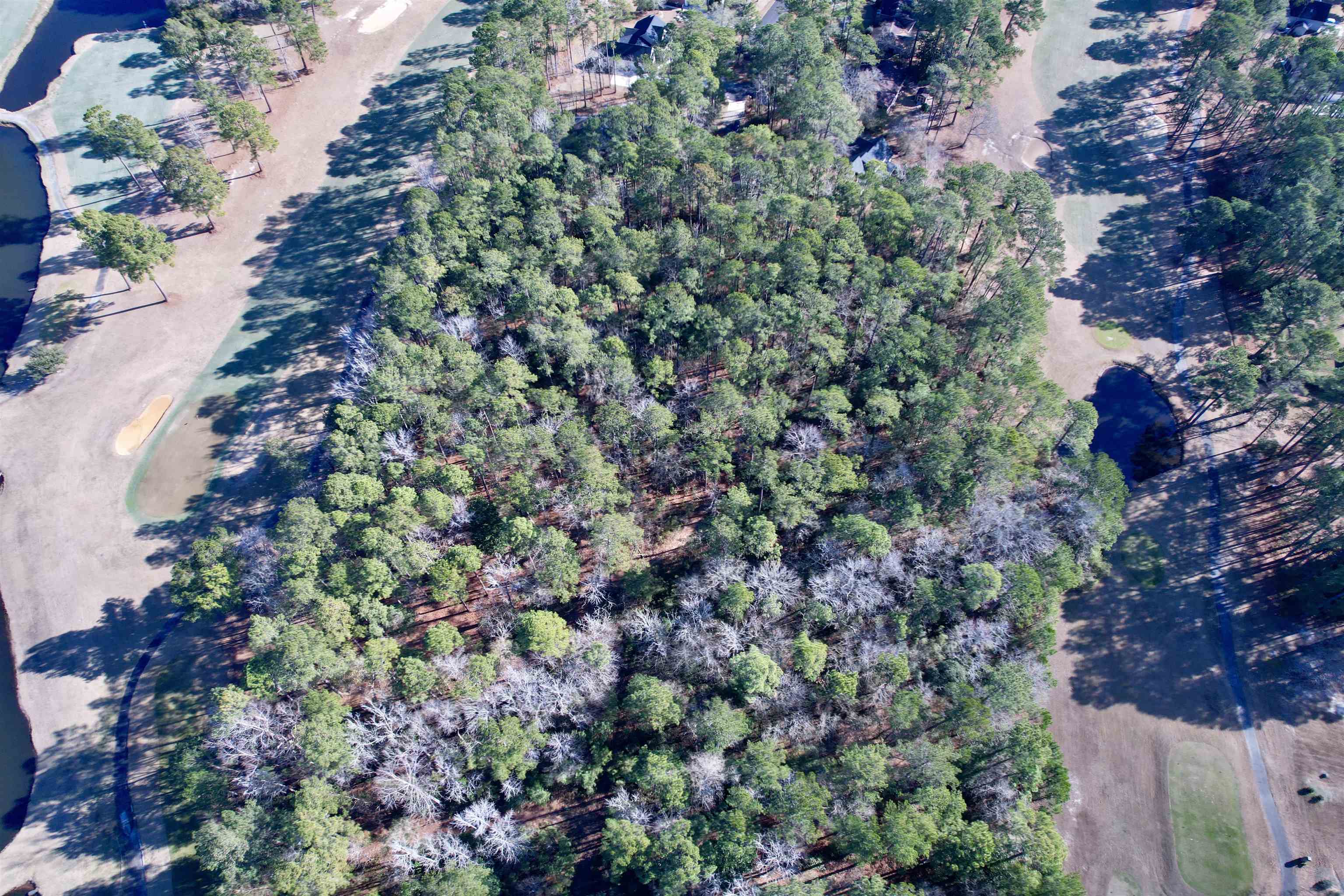 10 Lots - Dragooon Ct. Georgetown, SC 29440