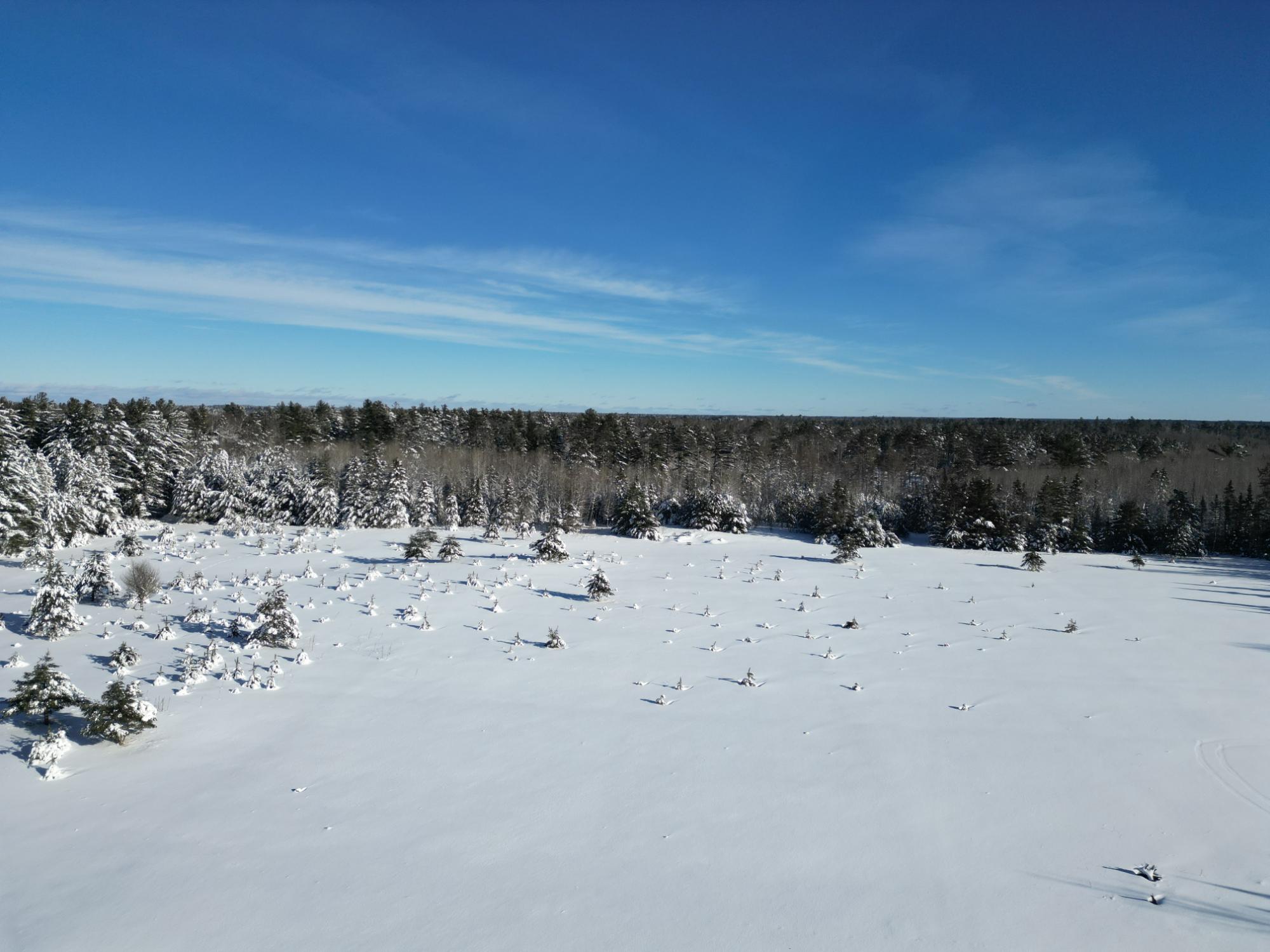 Undocumented Lake Property 2471 Croker Ln Photo 16