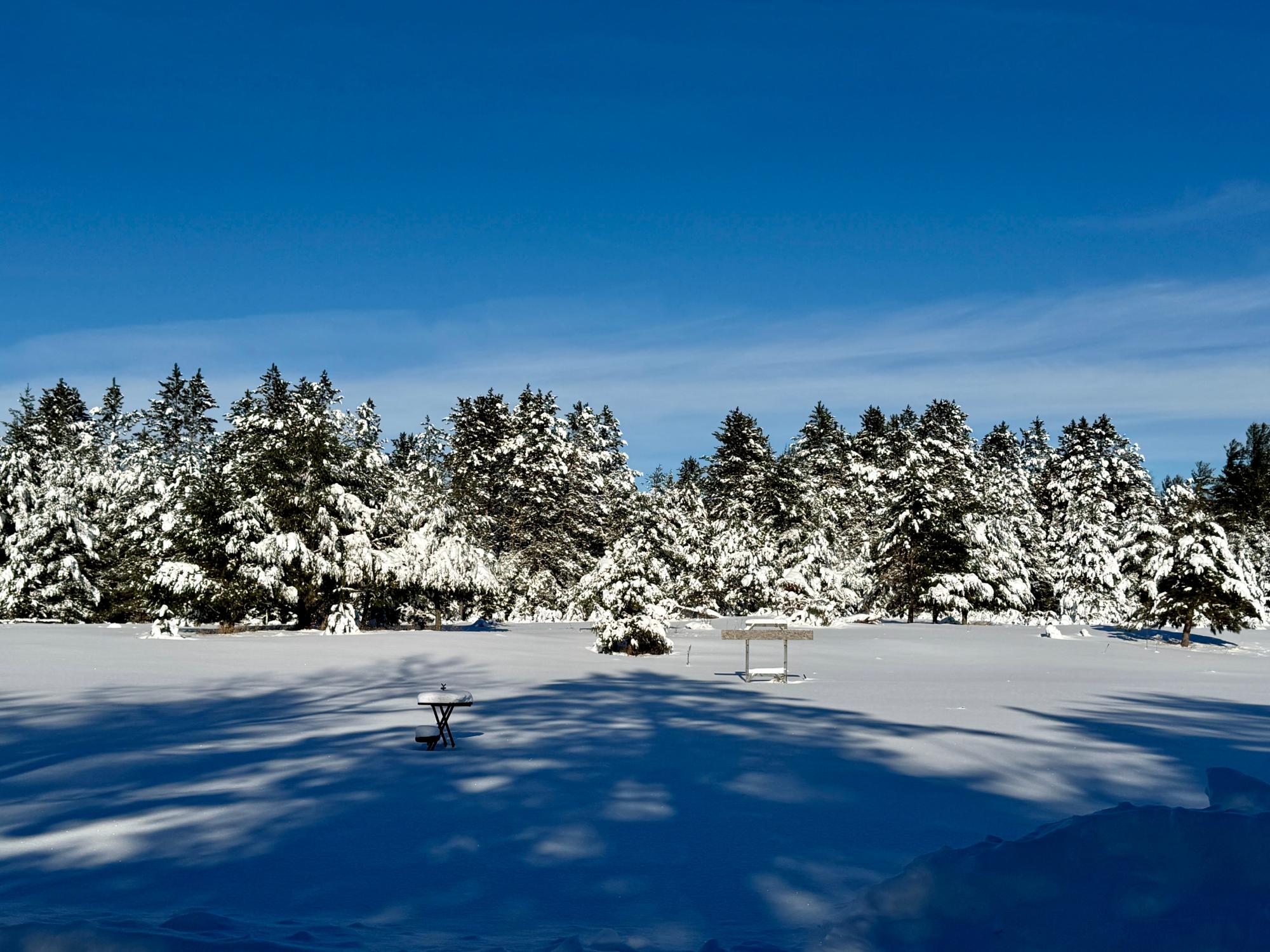 Undocumented Lake Property 2471 Croker Ln Photo 17