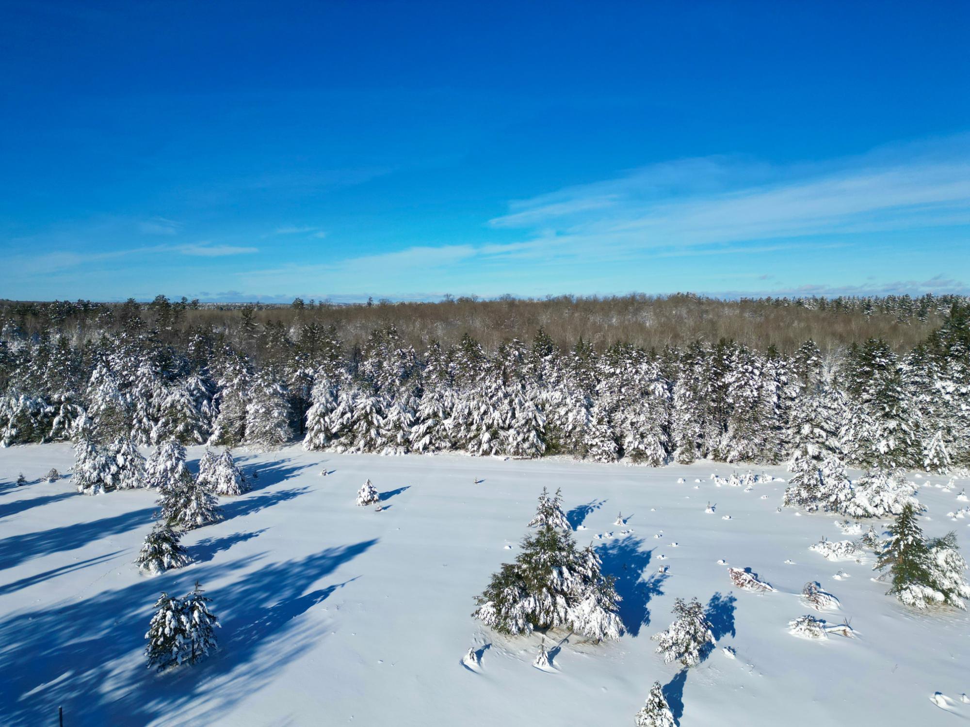 Undocumented Lake Property 2471 Croker Ln Photo 31