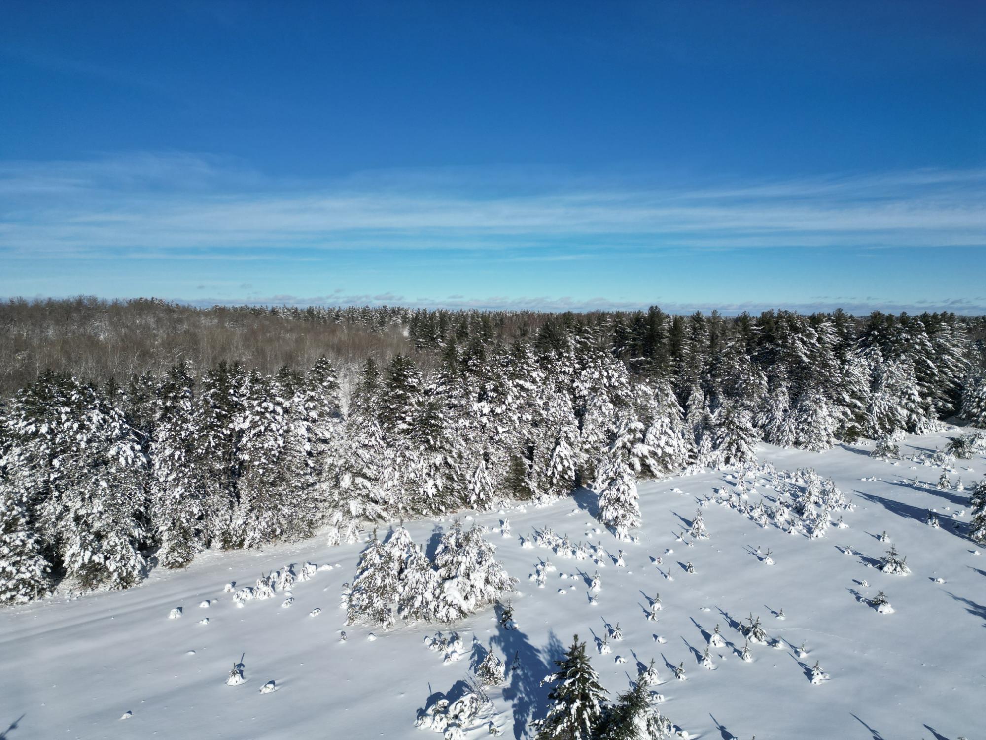 Undocumented Lake Property 2471 Croker Ln Photo 32
