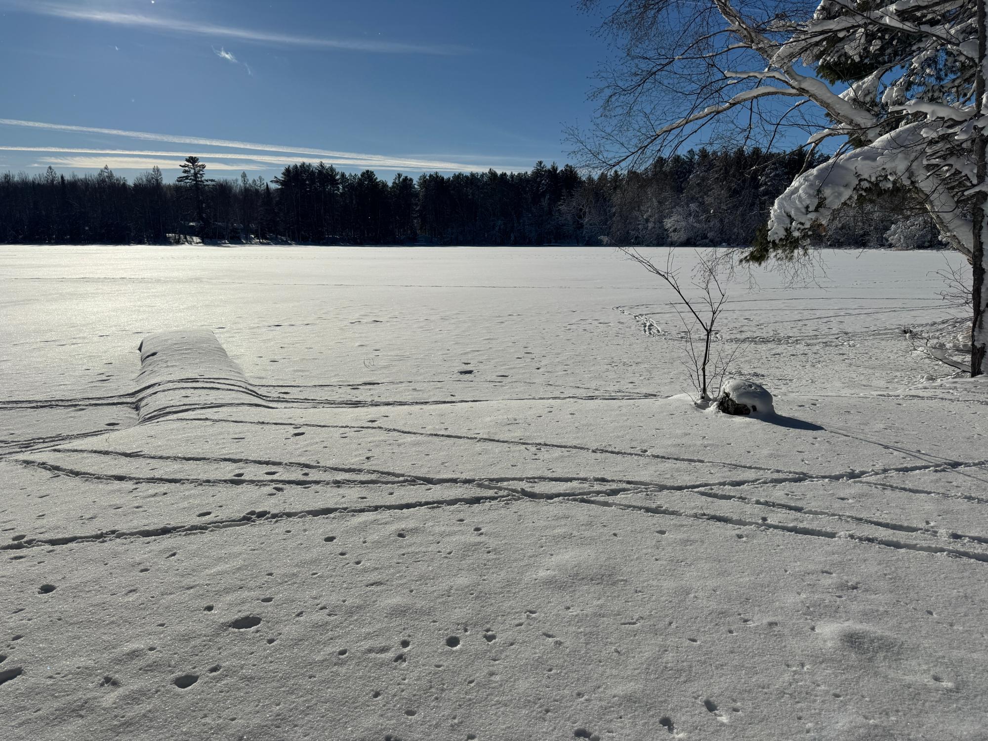 Undocumented Lake Property 2471 Croker Ln Photo 36