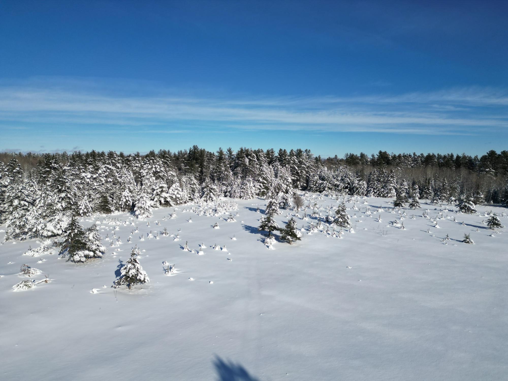 Undocumented Lake Property 2471 Croker Ln Photo 4