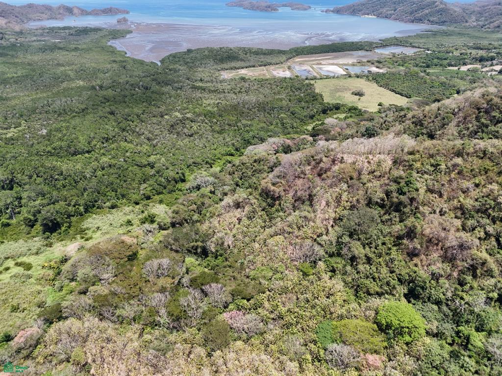  bed Land For Sale in Puntarenas, Puntarenas - 1