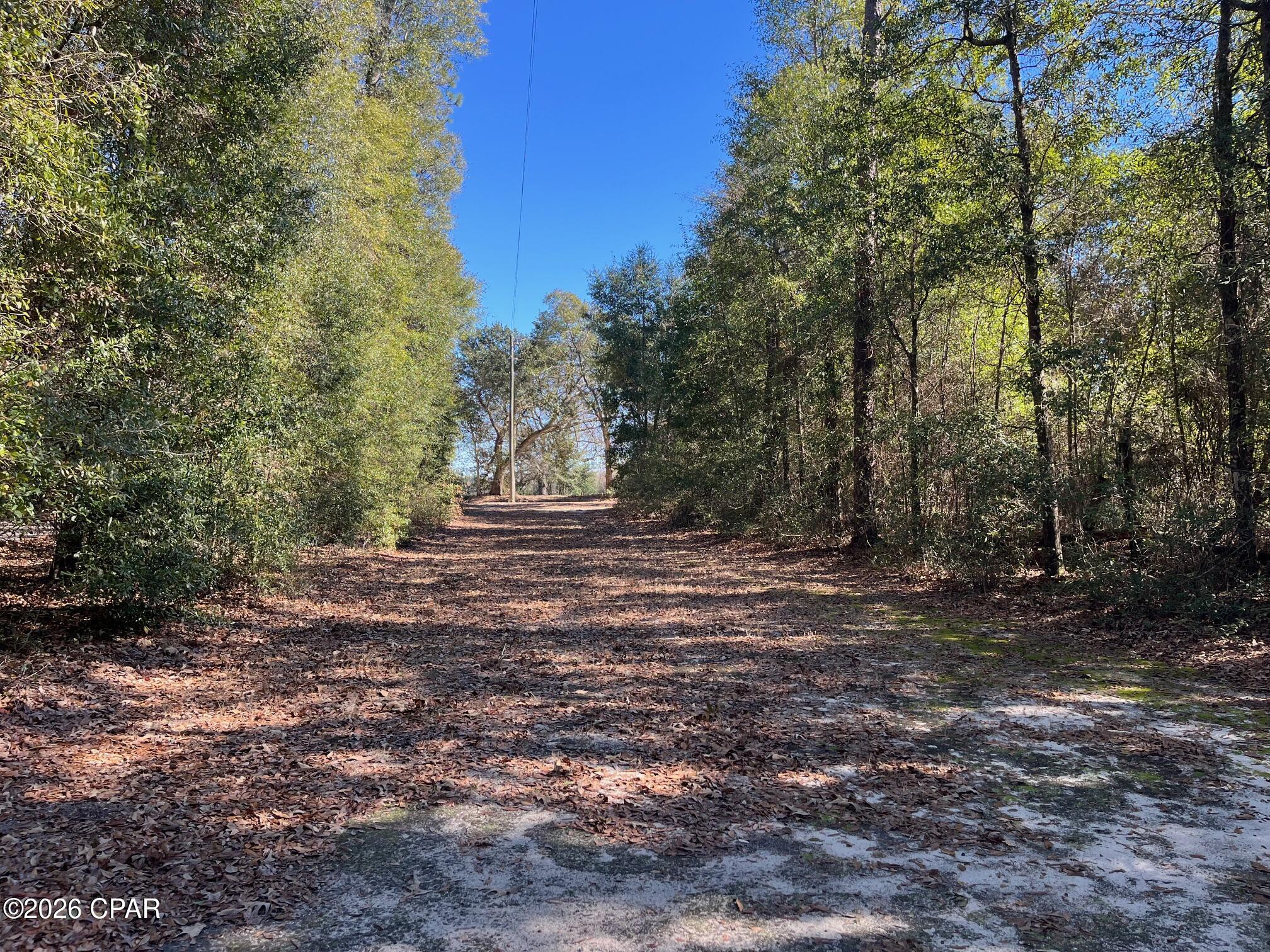 Image 51 For 5894 Jasper Road