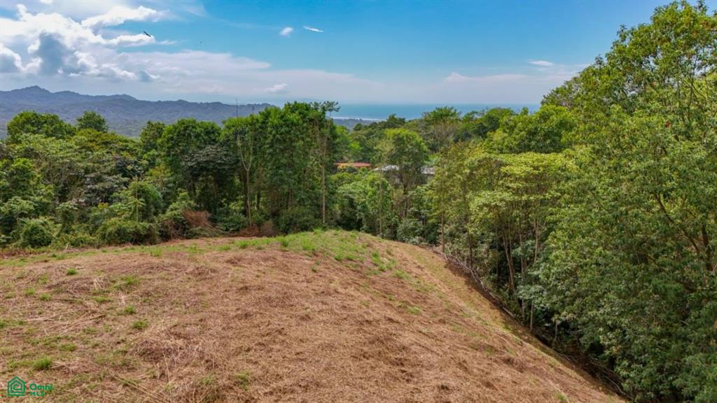 0 bed Land For Sale in Osa, Puntarenas - 1
