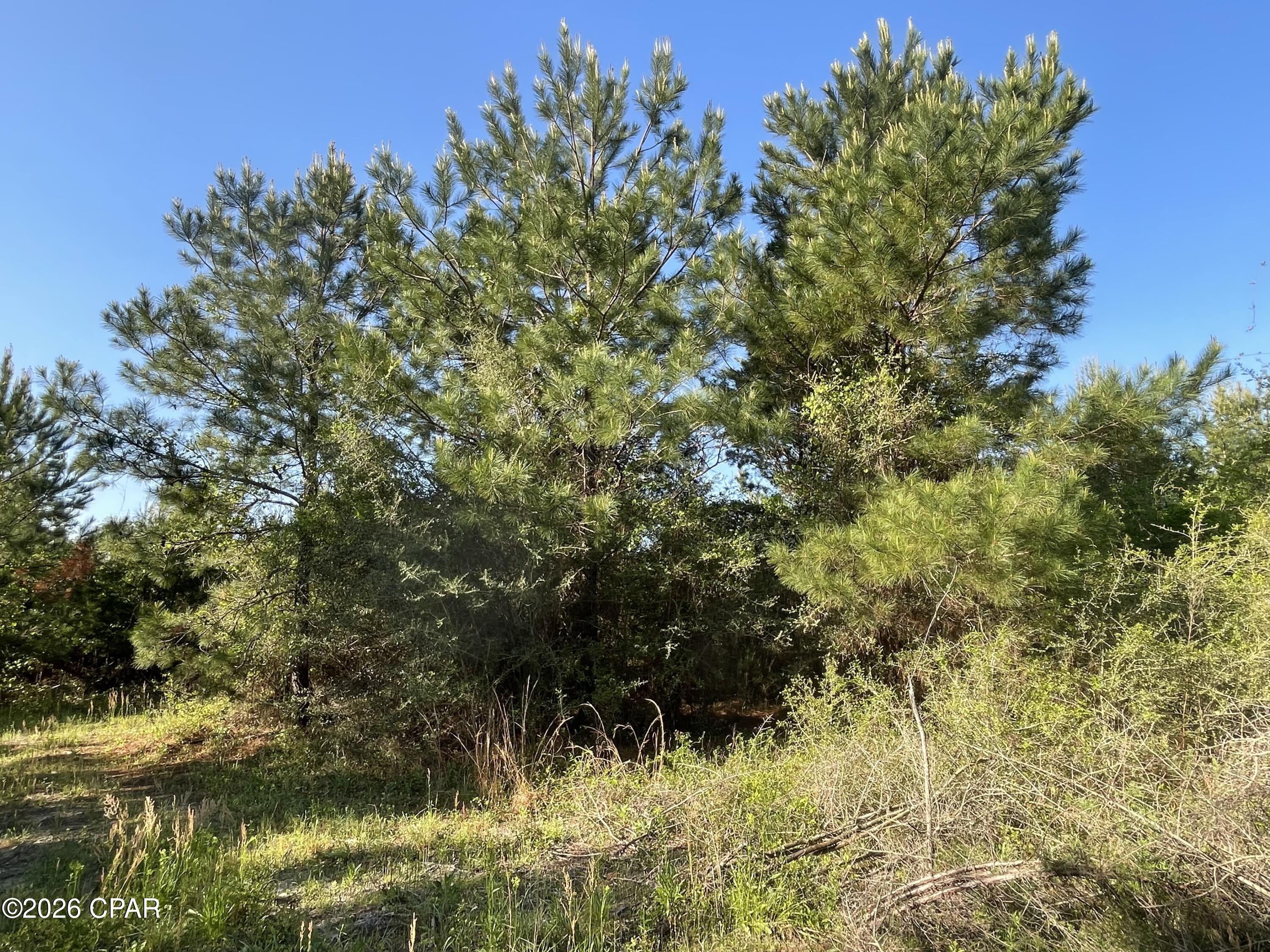 Image 20 For 0000 Hwy 231