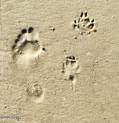 Image 43 For 344 Tide Water Drive