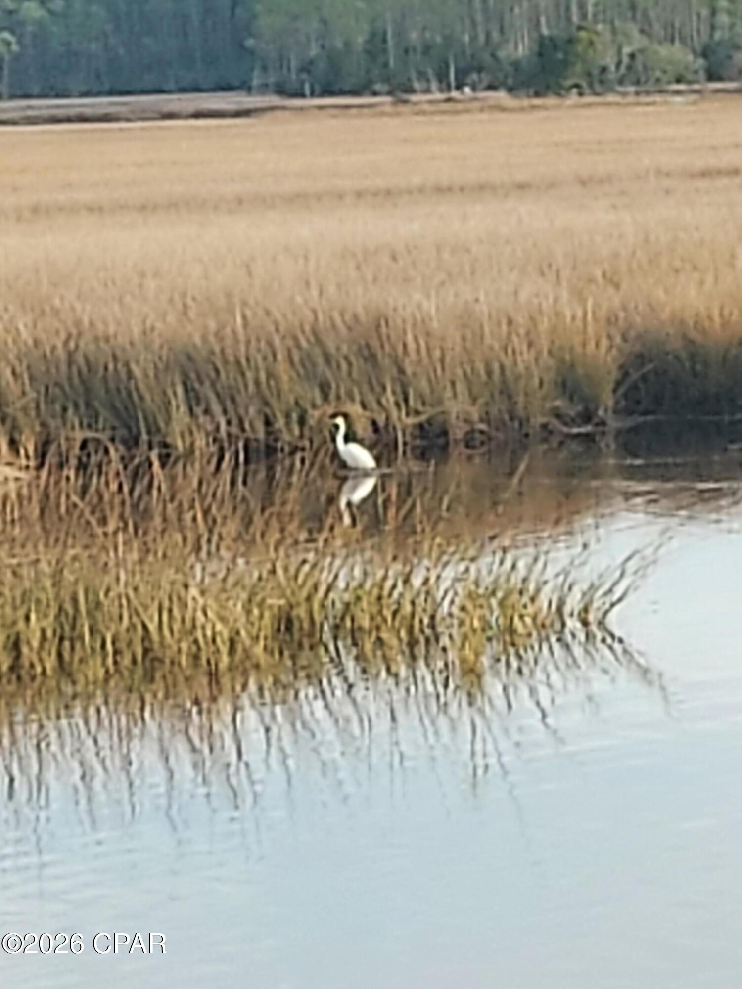 Image 30 For 8402 Deepwater Creek Lane