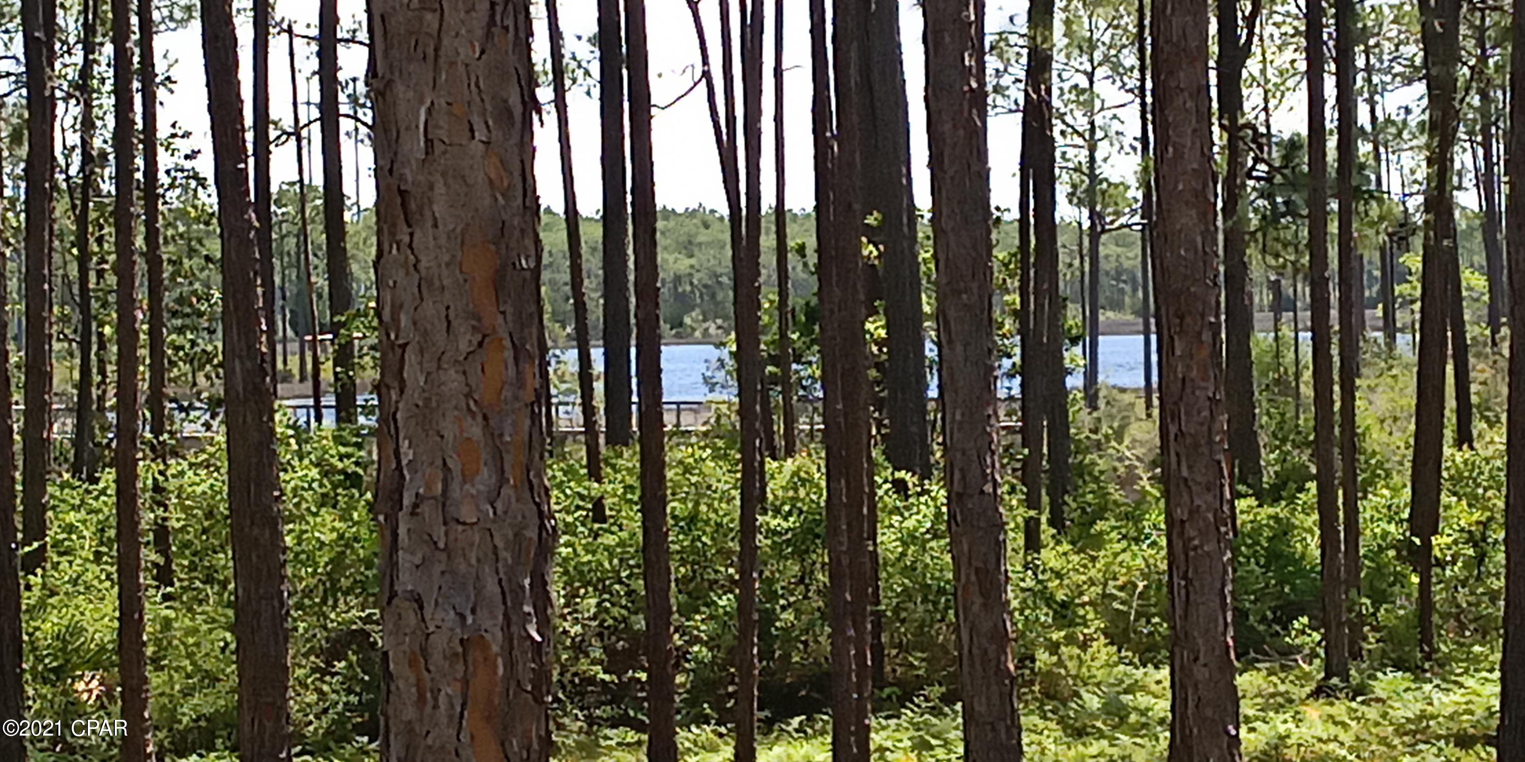 Image 4 For 8402 Deepwater Creek Lane