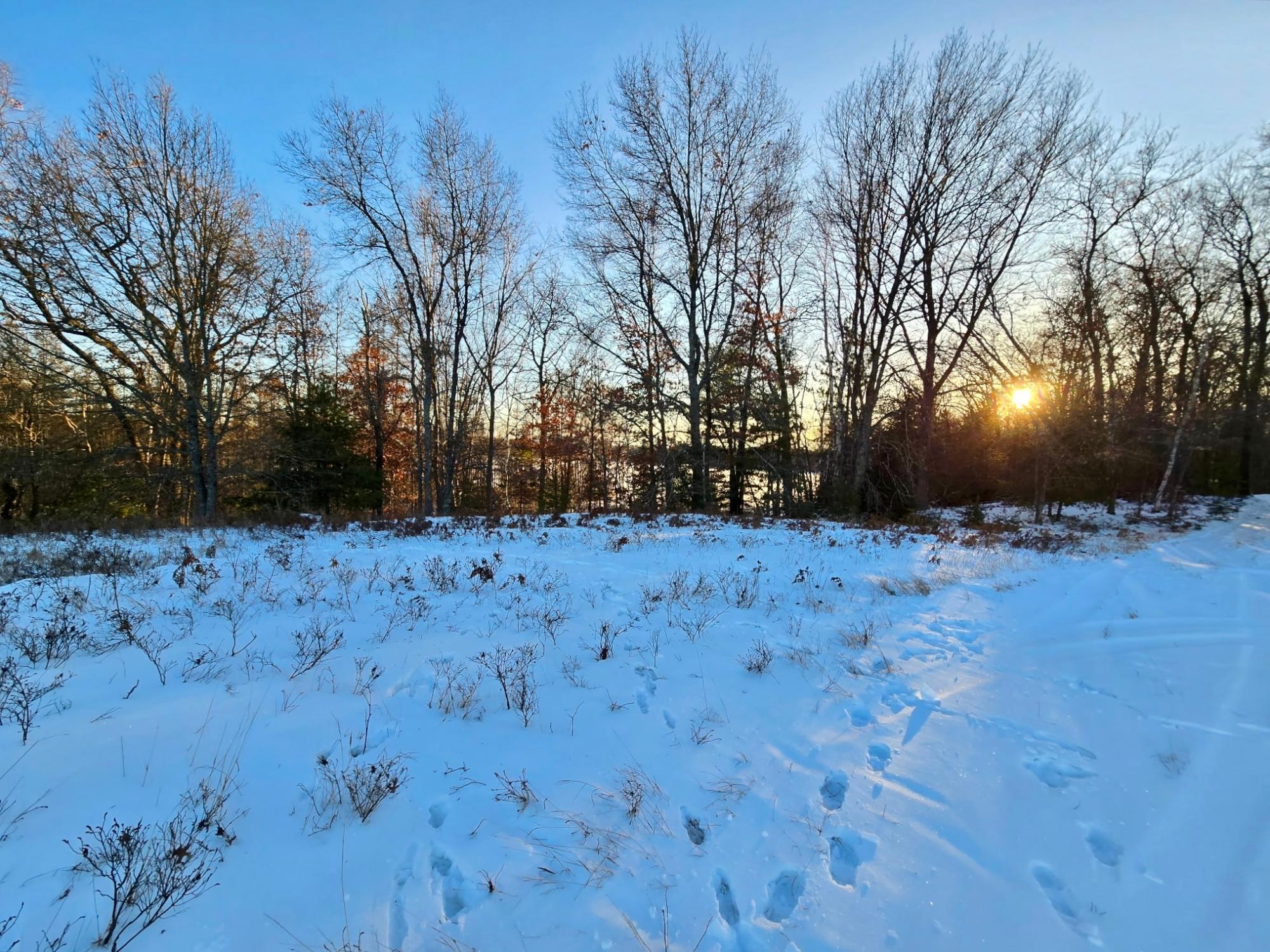 Undocumented Lake Property 3633 Kuczmarski Dr Photo 33