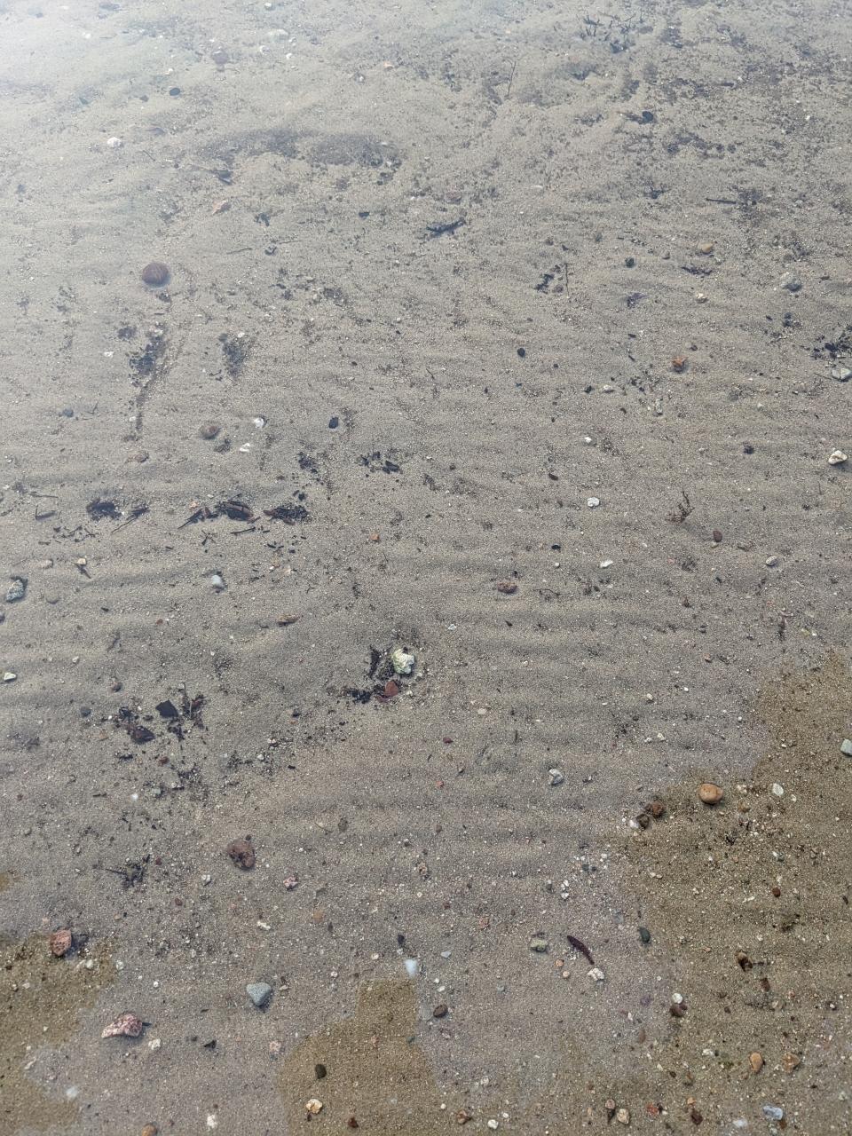 Little Bass Lake Property 11198 Tuckaway Rd Photo 40