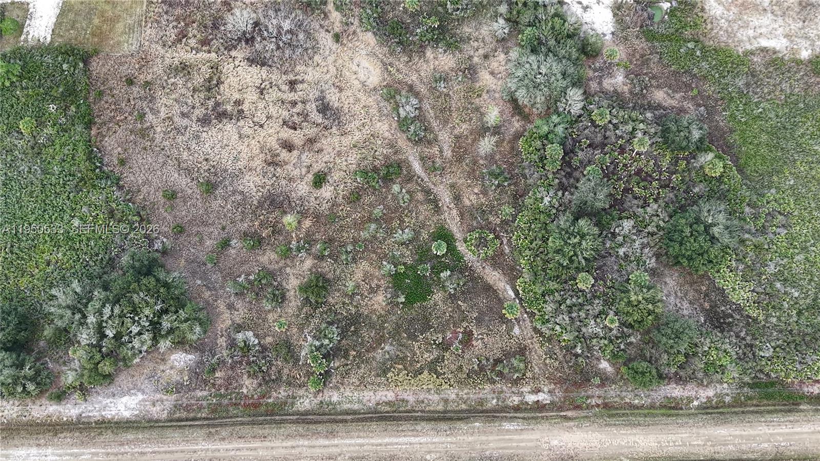 The Southern Colonization