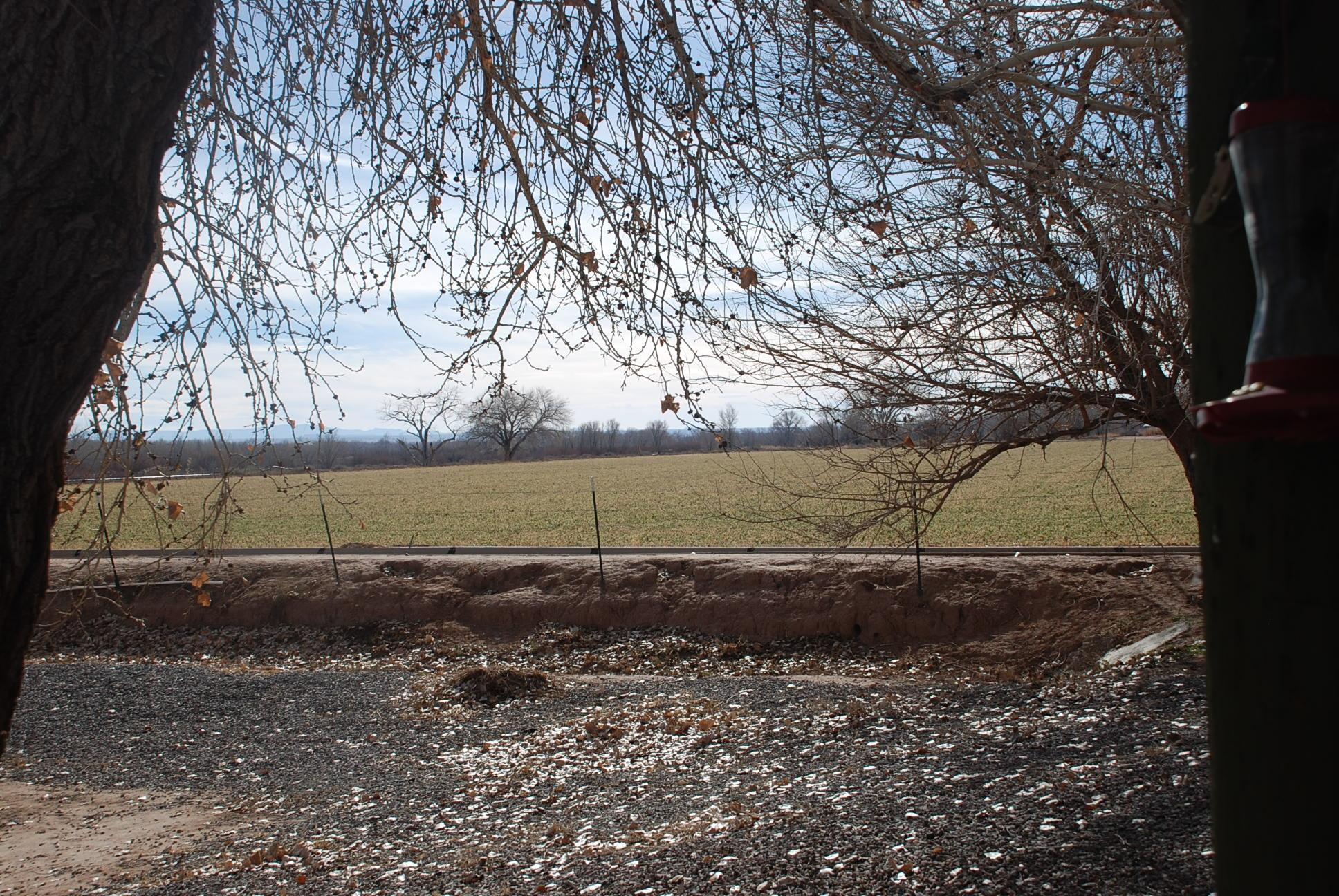 Homes for sale in Bosque, NM | 416 Nm-116, Bosque, NM 87006 | MLS# 1097137