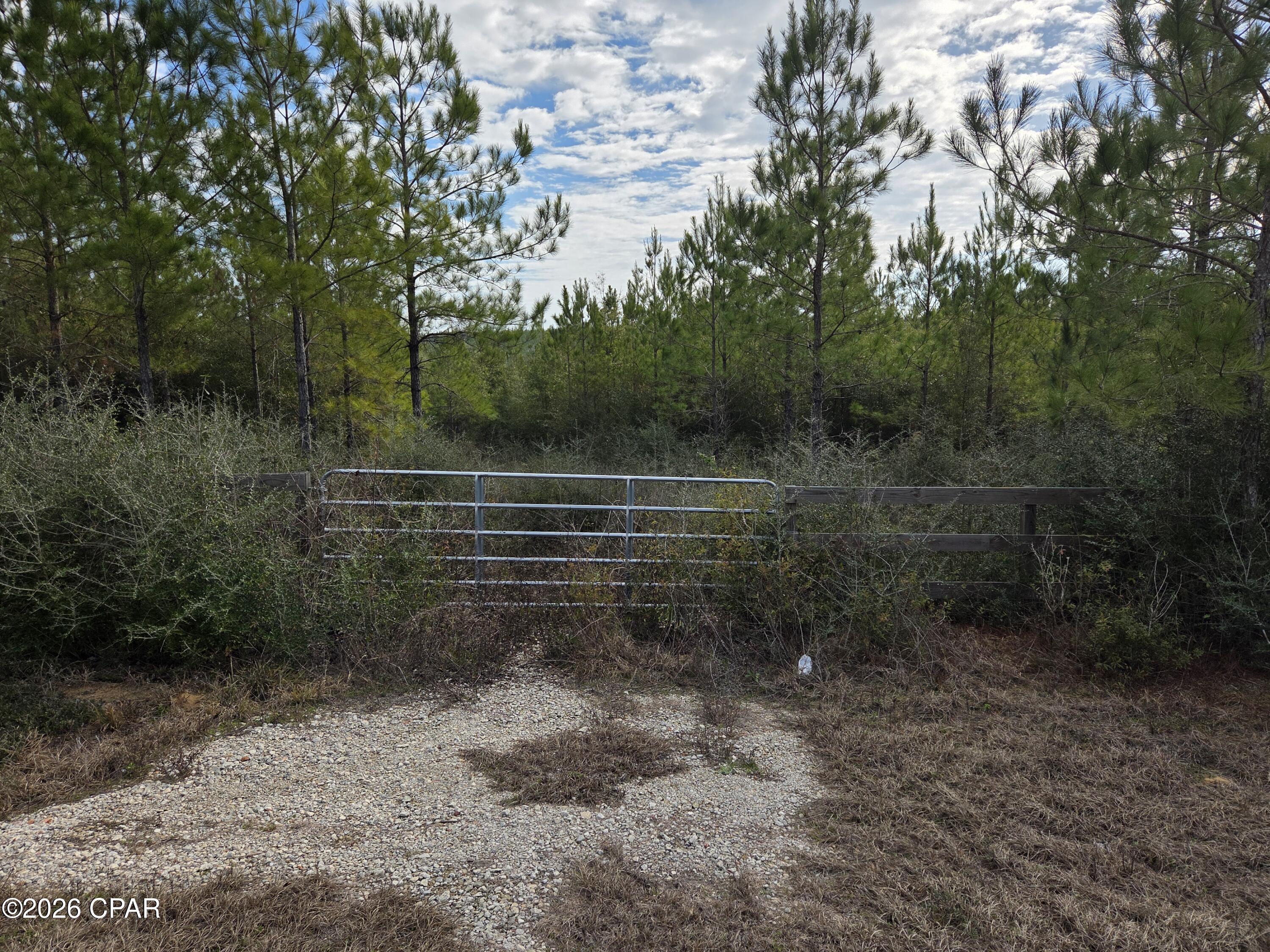 Details for Xxx Church Road, Altha, FL 32421