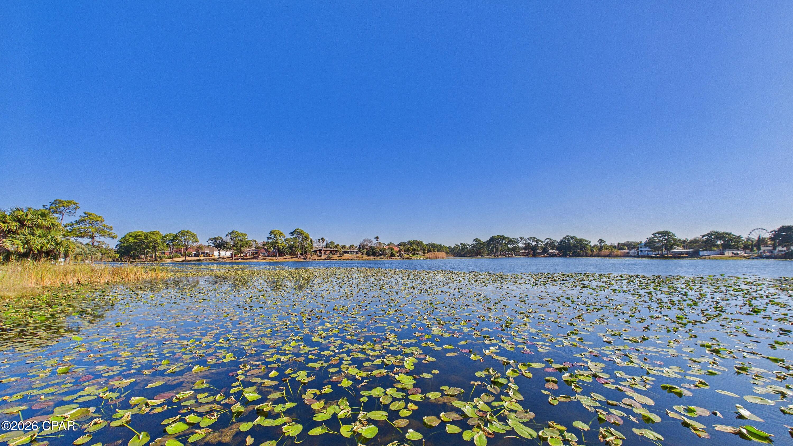 Image 18 For 301 Lullwater Drive 295