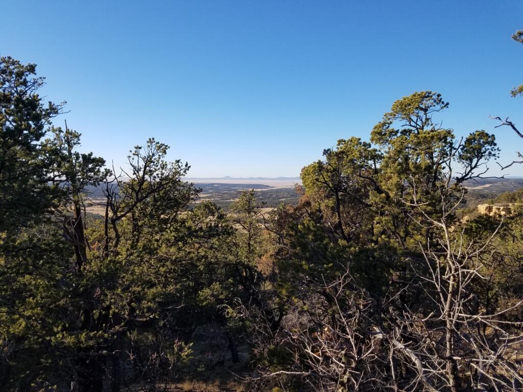 Homes for sale in Pie Town, NM | 7 Cebolla Canyon Rd, Pie Town, NM 87827 | MLS# 1097180