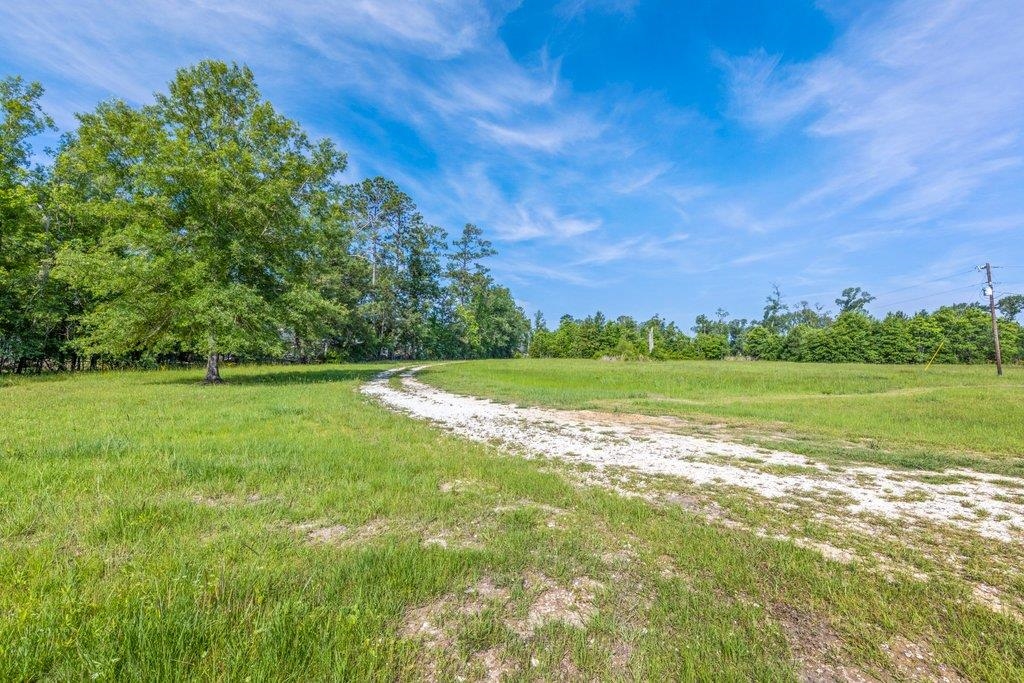 136 Bob Long Road — photo 3