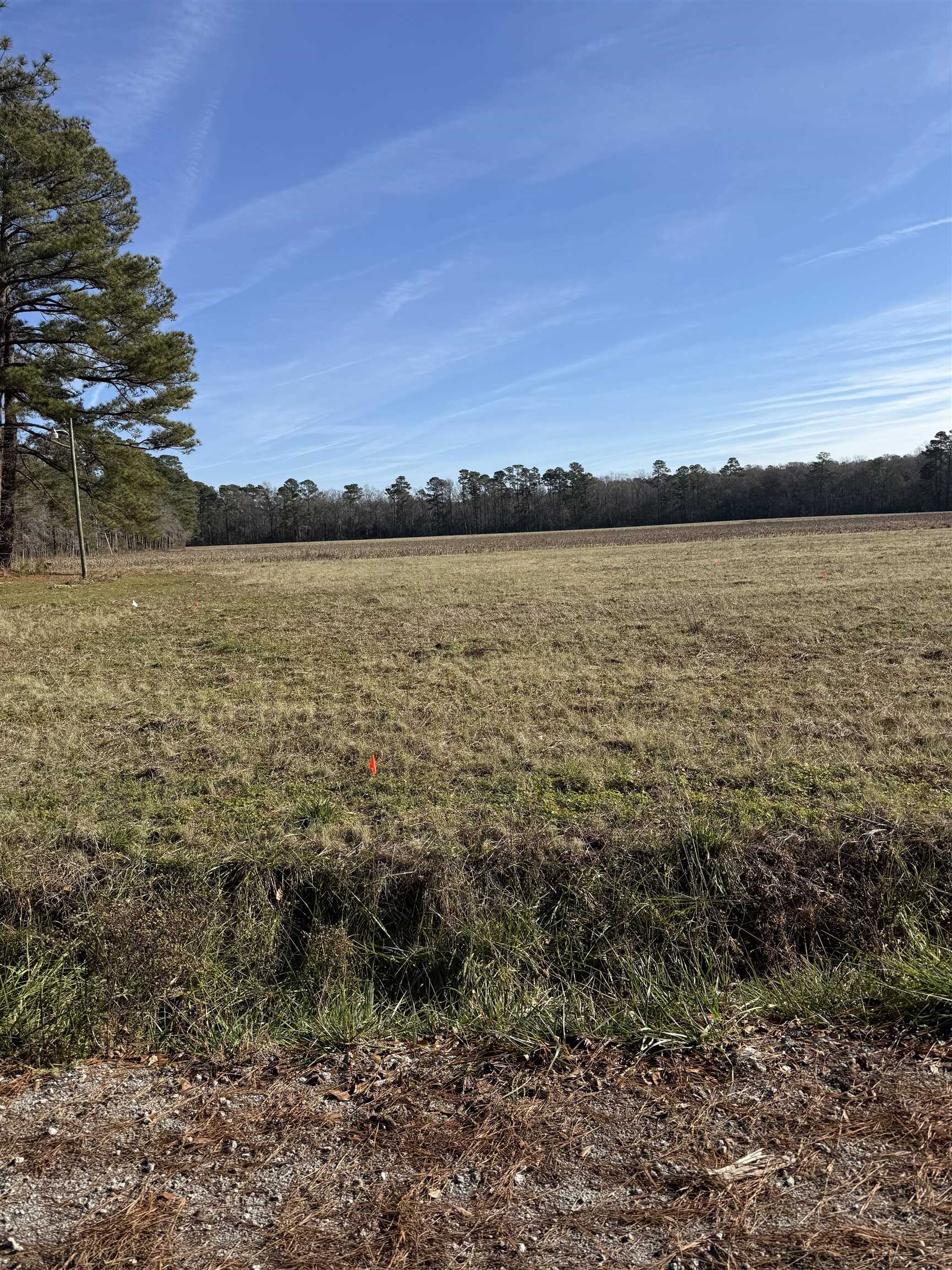 Lot 8 Johnson Shelley Rd. Conway, SC 29526