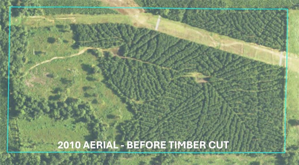 Homes for sale in Bienville, LA | Domino Rd, Bienville, LA 71008 | MLS# 2539735