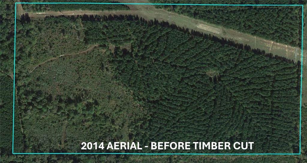 Homes for sale in Bienville, LA | Domino Rd, Bienville, LA 71008 | MLS# 2539735