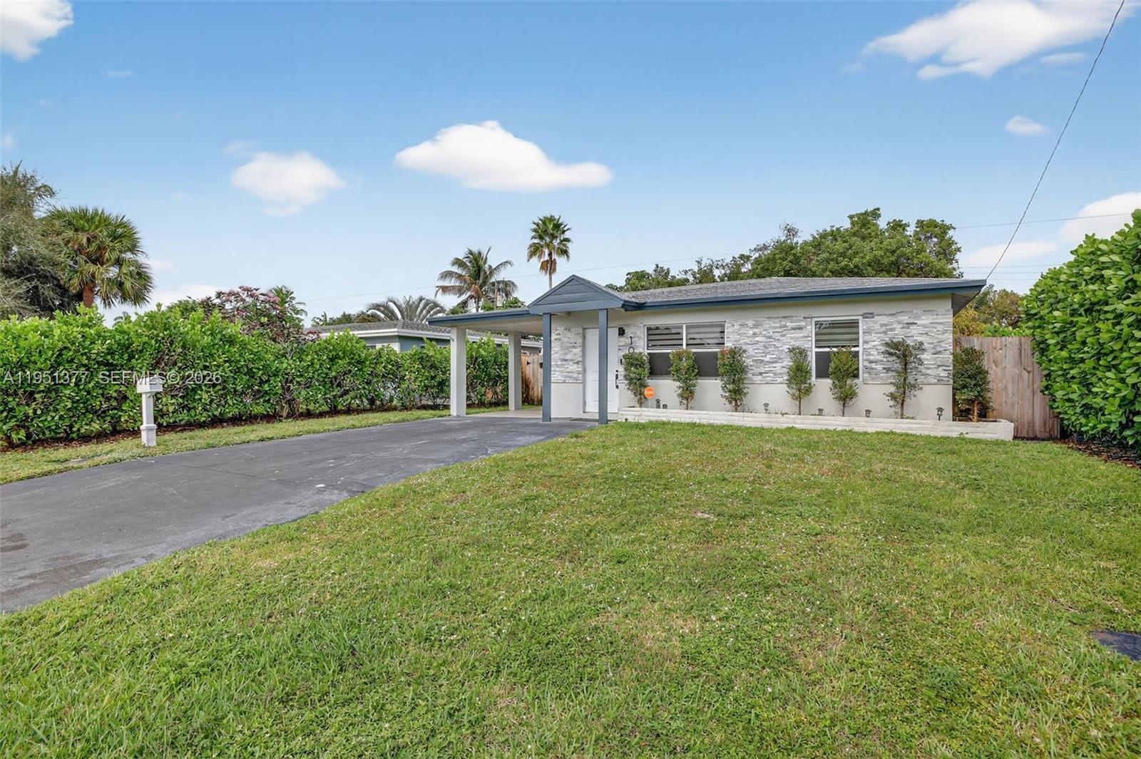 North Andrews Gardens Fir