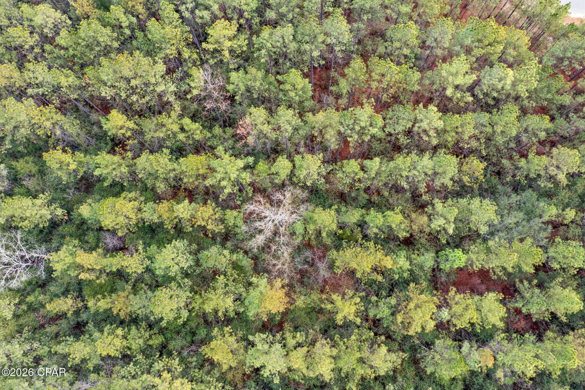 Image 6 For Xxx Sumac Road