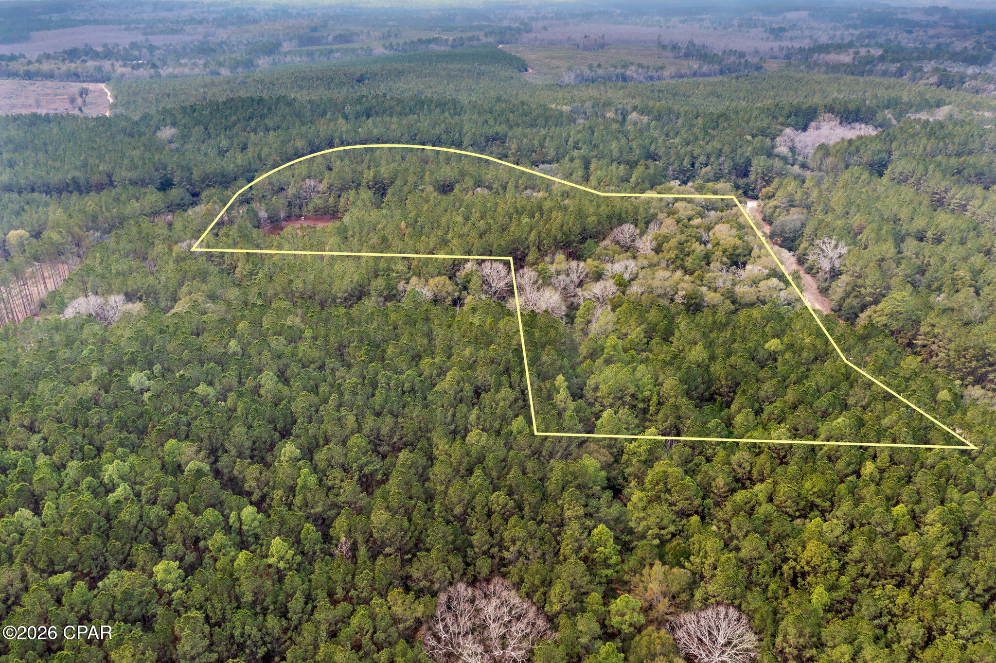 Image 7 For Xxx Sumac Road