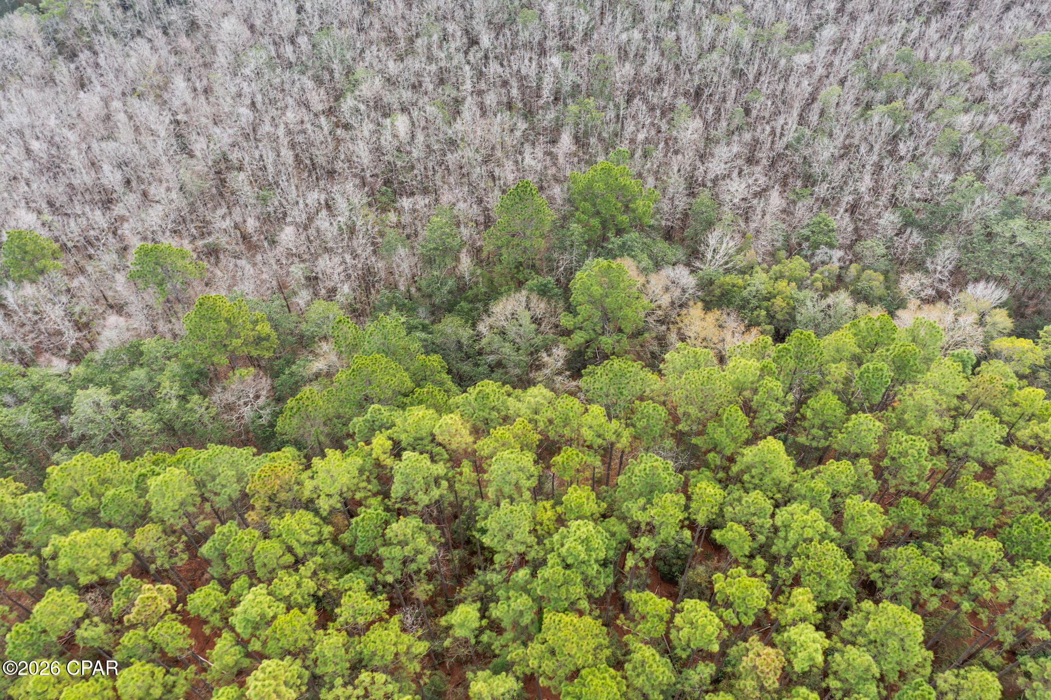 Image 10 For Xxx White Oak Lane